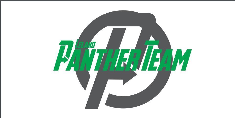 Panther Team Logo